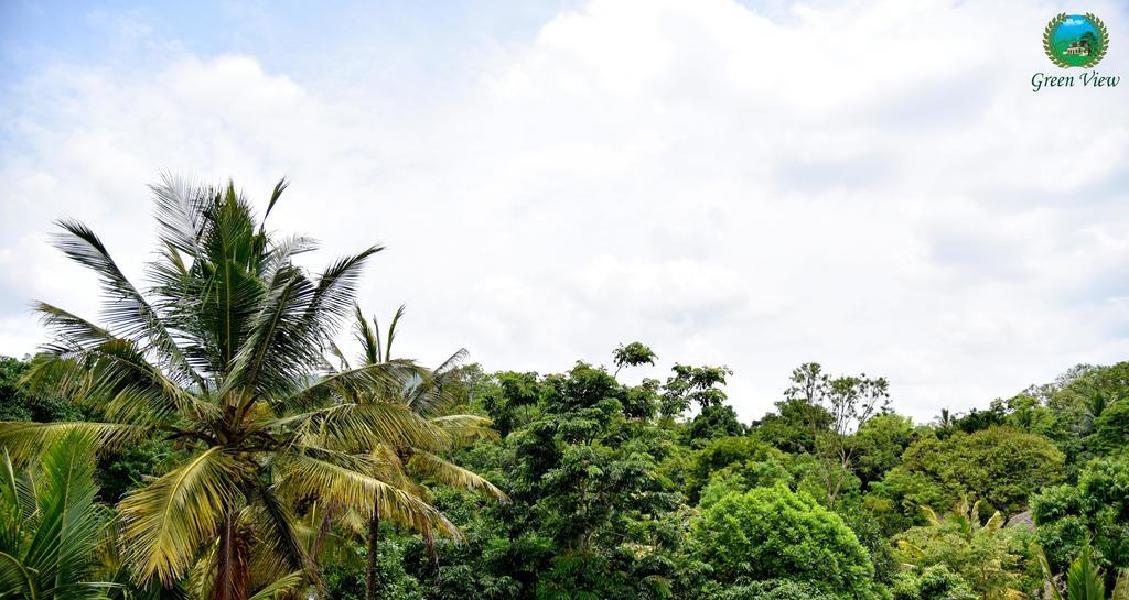 Green View Thekkady Exteriör bild